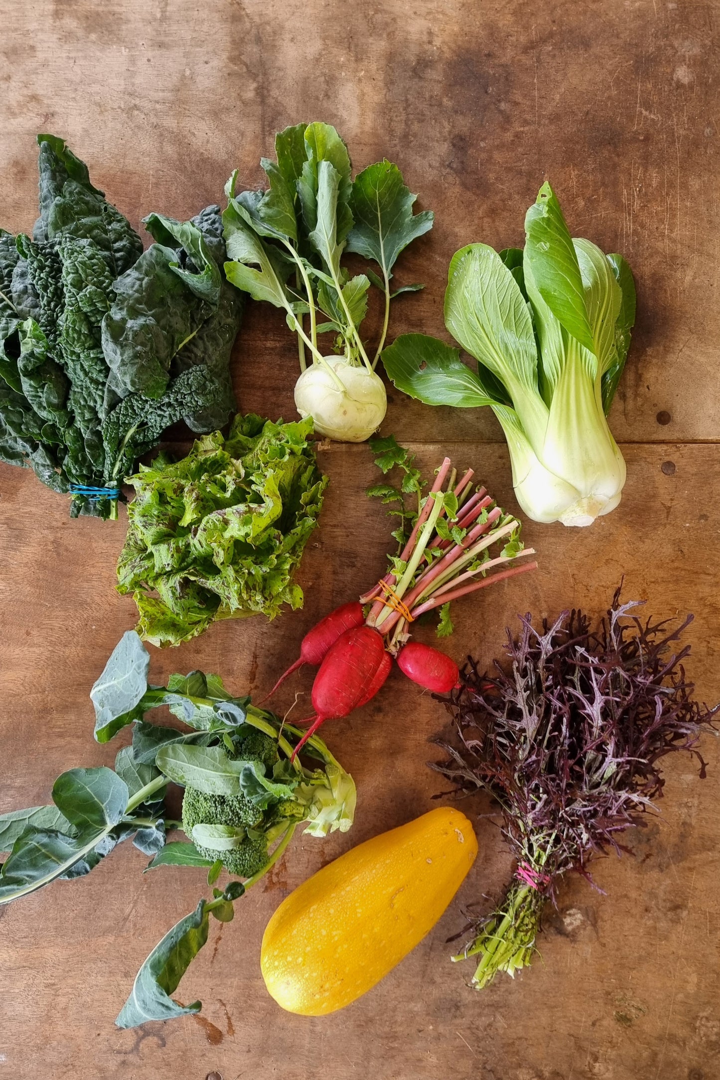 Farmers Choice Medium Veggie Box