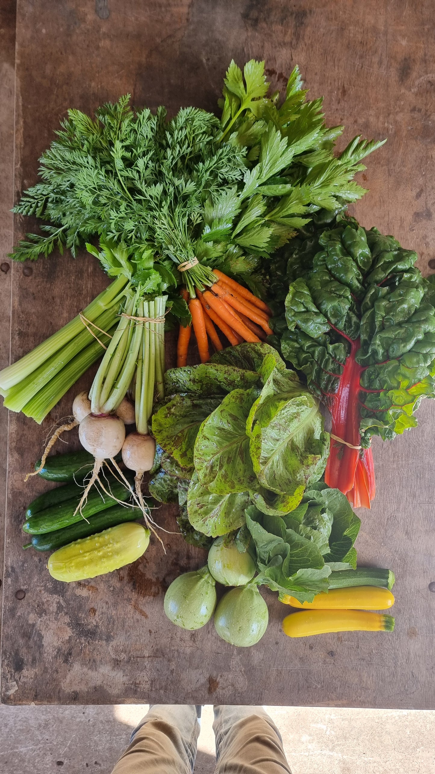 Farmers Choice Medium Veggie Box